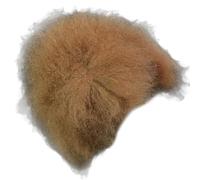 JSGHGDF Modelo realista de cabeza de perro para práctica de pelo sintético para mascotas, para el aseo de perros, entrenamiento escolar y técnicas de peinado, accesorios de aseo para mascotas, modelo