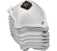 JSP Válvula Fmp2 Filtros Para Filterspec (Paquete De 10) (ASG02B-101-100)