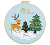 JSRQT Kit de Inicio de Bordado Kit Bordado Principiantes con Instrucciones de Navidad Patrón Kit Punto de Cruz Niños Bordar a Mano Kit Cross Stitch a Mano Hilos de Colores y Herramientas Christmas