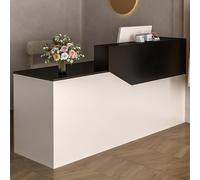 JSWHYBD Mostrador de recepción con cajones y gabinetes, Moderno y Elegante mostrador de Madera, Adecuado para pequeños Salones, Salones de Belleza, Tiendas minoristas y oficinas C1 120cm/47in