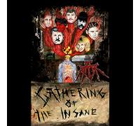 Jt Ripper - Gathering Of The Insane [VINYL] [Vinilo]
