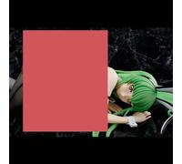 jtsgwop Figura de anime Girl Ecchi Waifu figura japonesa de anime extraíble figura coleccionable Code Geass figura de acción Lelouch of The Rebellion Pretty Bunny Girl Adult Doll Toys Statue