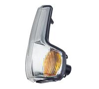 JTWMTY Luces Giro Espejo Retrovisor Lateral Coche Lámpara Indicadora Para Iveco Para Daily VI 2015-2024(Right)