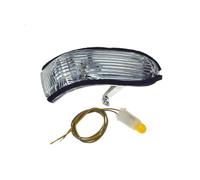 JTWMTY Luces Giro Espejo Retrovisor Lateral Coche Lámpara Indicadora Para Kia Para Forte 2009-2011(Right)