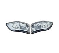 JTWMTY Luces Giro Espejo Retrovisor Lateral Coche Lámpara Indicadora Para Kia Para Sedona Para Carnival 2010-2014(Left and right)