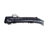 JTWMTY Luces Señal Giro Espejo Retrovisor Lateral Coche Lámpara Indicadora Para Chery Para Tiggo 8 4/5x(Left)