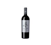Jumilla Juan Gil Etiqueta Plata 2017 Magnum