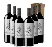 Juan Gil Etiqueta Plata Magnum - Ideal para Maridar con Carne y Comida Mediterránea - Pack 6 Botellas 75cl