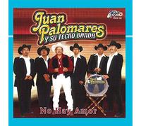 Juan Palomares y Su Tecno Banda - No Hay Amor