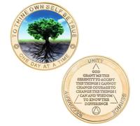 JUANLI Moneda Conmemorativa de la sobriedad, medallones de logros, Regalos de sobriedad para Adultos, Regalos artísticos