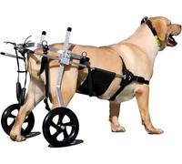 JuanNest Ajustable Perro Mascota Anciano Scooter Silla De Ruedas para Perros Extremidad Trasera Carro De La Energía Animal Discapacitado Rehabilitación Carrito para Perros Grande,Perros Grandes L
