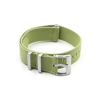 JUANZD Correa de reloj de nailon Correa Nato Correa elástica Correa de reloj 18 mm 20 mm 22 mm Pulsera de repuesto(Light Green,20mm silver)
