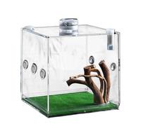 Jubepk Acrylic Clear Terrarium Box, Small Pet Breeding Habitat, 2.17x2.17x2.17 Inches, Easy Access Lid, Jumping Spider Enclosure for Spiders, Beetles, Snails, Lizards, Transparent