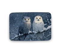Jubonexis Alfombra de baño con diseño de dos búhos posados en ramas cubiertas de nieve, tapete de terciopelo coral extrasuave, absorción rápida de agua, antideslizante, cómodo tapete de baño, 15.7 x