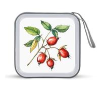 Jubonexis Estuche de almacenamiento portátil para CD, DVD, diseño de rosas de acuarela para coche, hogar, viajes