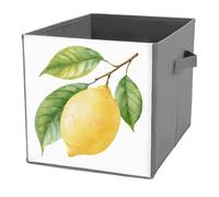 Jubonexis Fresh Whole Lemon Botanical Watercolor Cube - Cubos de almacenamiento plegables de tela decorativa, cestas de almacenamiento con asas para estantes, armario, 27 x 27 cm