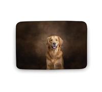 Jubonexis Happy Golden Retriever - Tapete para puerta de baño, tapete de terciopelo coral extra suave, absorción rápida de agua, antideslizante, cómodo, tapete de baño de 19.7 x 31.5 pulgadas