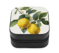 Jubonexis Joyero pequeño con diseño de limones botánicos en una rama, portátil, de piel sintética, mini expositor, caja de almacenamiento para joyería de viaje para mujer