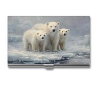 Jubonexis Polar Bear Family on Ice - Tarjetero delgado de metal para tarjetas de visita para mujeres y hombres