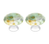 Jubonexis Pomos redondos para cajones con fondo de arco iris, color amarillo menta claro, con tornillos, 2 unidades, tiradores de cajón para tocador, decoración para armario, hogar, oficina, cocina