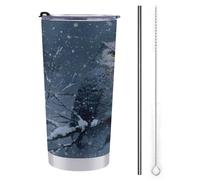 Jubonexis Vaso de viaje de 20 onzas, dos búhos posados en ramas cubiertas de nieve, botella de agua, taza de café aislada al vacío de acero inoxidable con tapa de popote y cepillo de limpieza