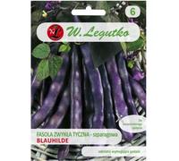 Judía verde común de vaina violeta Blauhilde - media temprana