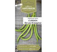 Judía Verde "Cupidon Filet Sans Fil Mangetout" - 1 paq.