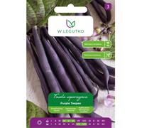 Judía verde enana de vaina morada Purple Teepee - temprana
