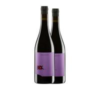 Judith Beck Out Neusiedlersee 75 cl Vino tinto (Caja de 2 Botellas de 75 cl)