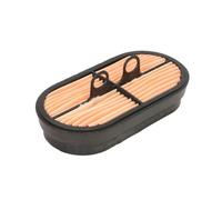 Judith Glue Donaldson p600975 secundario filtro de aire