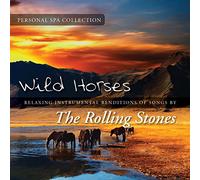 Judson Mancebo - Wild Horses