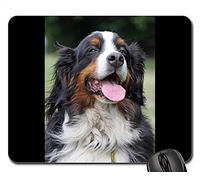 Juego Alfombrillas de ratón, Alfombrilla de ratón, Bernese Mountain Dog Bernese Mountain Dog Berner