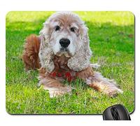Juego Alfombrillas de ratón, Alfombrilla de ratón, Perro de Aguas Perro Cocker Spaniel Oro Animal Coker