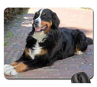 Juego Alfombrillas de ratón, Alfombrilla de ratón, Perro de montaña Bernese Pedigree Pet Dog Canine Puppy