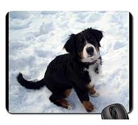 Juego Alfombrillas de ratón, Alfombrilla de ratón, Perro de Nieve Berner Sennen Dog Mountains Puppy Bitch
