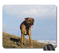 Juego Alfombrillas de ratón, Alfombrilla de ratón, Snow Mountains Dog Peak Labrador Cross Boxer