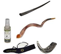 Juego Amaizing Shofar, Big Oryx, Ram Horn, Kudu 40"-42", bolsa Shofar + spray antiolor