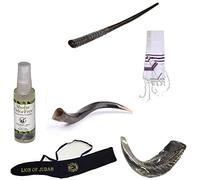 Juego Amaizing Shofar Oryx, Ram Horn, Kudu, Tallit Purple Kosher, Bolsa de transporte, + Spray