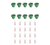 Juego completo de vasos para plantar raíces de fresa, ahorro de espacio con 10 tazas de propagación y 20 tenedores para trasplante de plantas (grande)