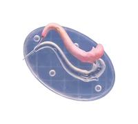 Juego creativo de moldes de silicona con forma de de animal para proyectos de arcilla, materiales no tóxicos, ideal para principiantes y artistas, molde para estancia de Cosplay