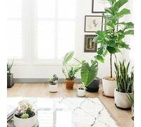 Juego de 10 bandejas de goteo transparentes de PET para uso en interiores, platillos redondos para drenaje de agua y organización de aperitivos o artículos de escritorio (8 pulgadas)