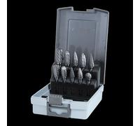 Juego de 10 fresas rotativas de carburo de tungsteno, estuche plástico, para grabado y moldeado en metal y madera.
