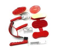 Juego de 10 herramientas de aseo de caballos, suministros de limpieza de baño, peines de pelo de caballo, cepillo de curry para masaje, limpieza de sudor, enfermería