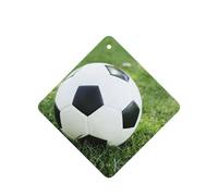 Juego de 10 hojas aromáticas para ambientador de coche con diseño de balón de fútbol en hierba, accesorios para colgar en el coche con cuerdas para decoración