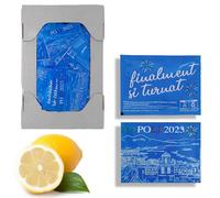 Juego de 100 toallitas desechables Napulè refrescantes al limón, paquetes individuales biodegradables para restaurantes, bares, hoteles, eventos, catering, acción higienizante y purificante para uso