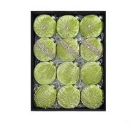 Juego de 12 bolas de árbol de Navidad de terciopelo de 8 cm de plástico con flocado en color verde oliva, para decoración elegante festiva en árbol, puerta o ventana en interiores (verde)