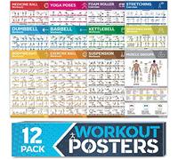 Juego de 12 carteles de entrenamiento grandes laminados - carteles de entrenamiento perfectos para gimnasio en casa - tablas de ejercicios con mancuernas, posturas de yoga, banda de resistencia,
