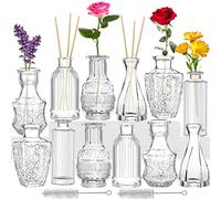 Juego de 12 floreros de cristal para flores, mini botellas de cristal, decoración para sala de estar, oficina, escritorio, para planificación de bodas, fiesta familiar, Acción de Gracias, aniversarios
