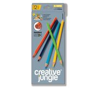Juego de 12 lápices de colores triangulares Creative Jungle