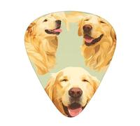 Juego de 12 púas de guitarra cómodas en la mano con bordes lisos. Tres grosores para que coincida con la impresión Golden Retriever